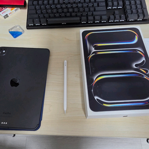 아이패드 프로 M4 11인치 256GB 셀룰러 블랙