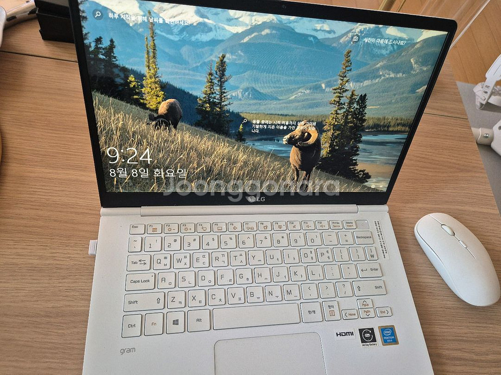 LG그램 14인치 14Z980 노트북 팝니다--4