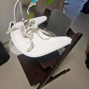 스토케 트랩트랩 풀세트