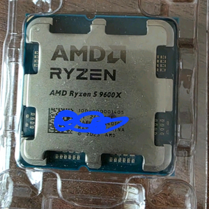 AMD 라이젠 9600x