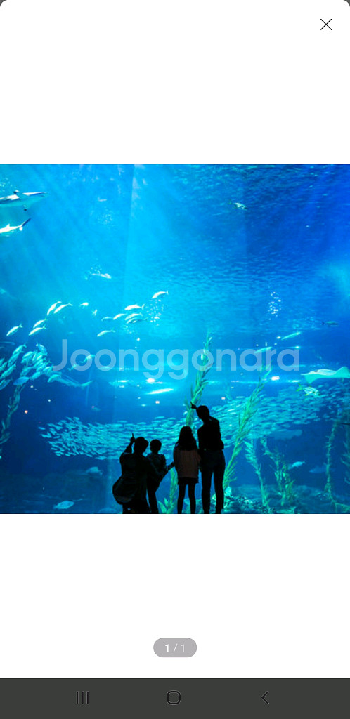 광교 일산 여수 제주 아쿠아리움 아쿠아플라넷--0