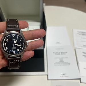 IWC 마크18 검판