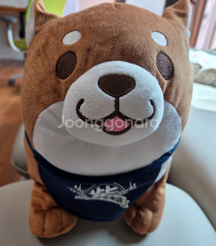 시바견인형--0