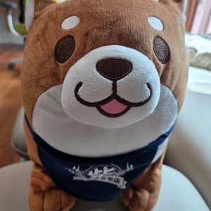 시바견인형