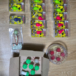 쭈꾸미 애자 팝니다