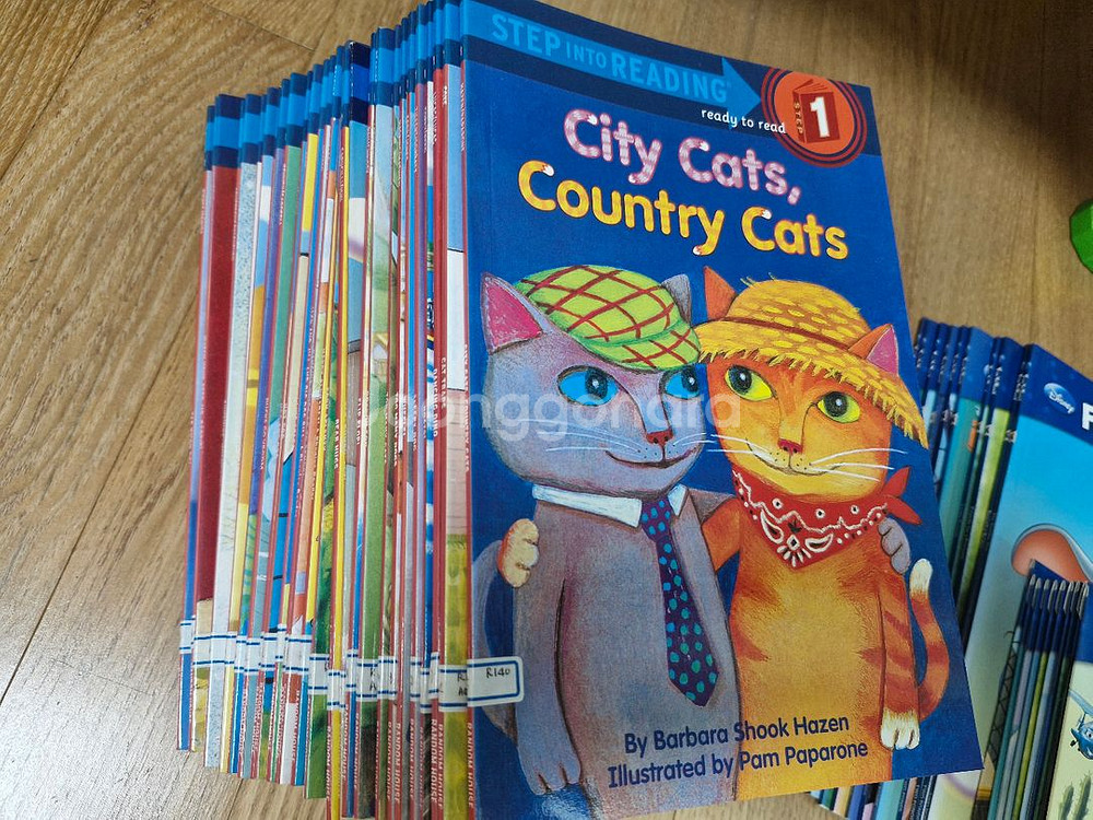 펀투리드, 스텝인투리딩, 런투리드, 브레인뱅크--2