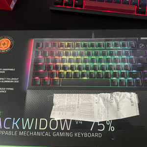 레이저 BlackWidow V4 75%