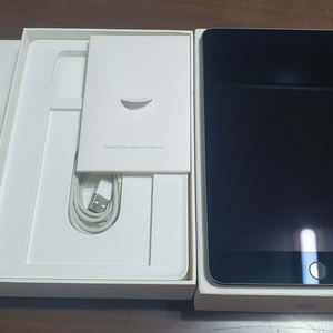 iPad mini 5 Cellular 64BG+애플팬