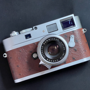 Leica m9-p (A la carte) 팝니다