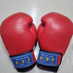 B2F 12oz 복싱 글러브 레드