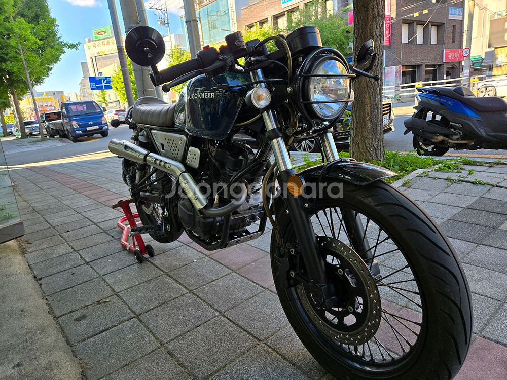 부케너125--6