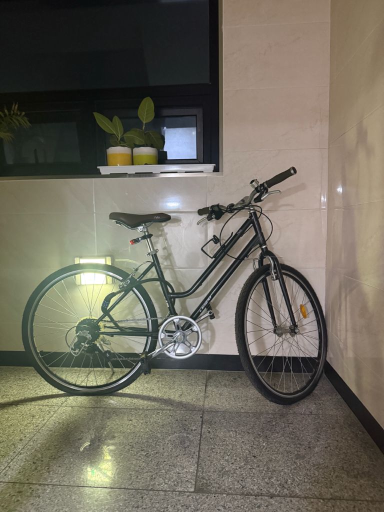 삼천리 자전거 Felix