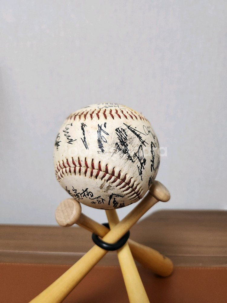 2006 WBC 월드 베이스볼 클래식 사인볼--4