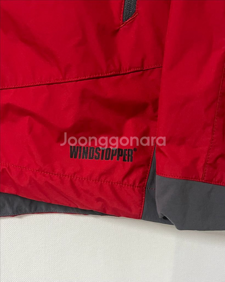 살로몬 윈드스토퍼 바람막이--6