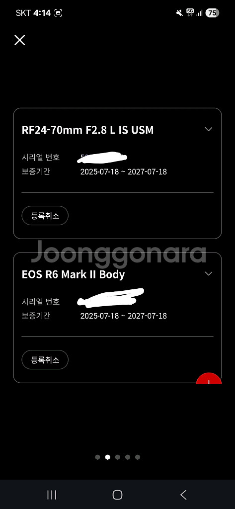 캐논 EOS R6 Mark II 새상품 풀세트--1