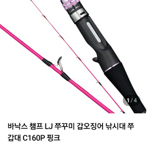바낙스 챔프 쭈꾸미와 갑오징어 로드및 베이트릴 핑크 판