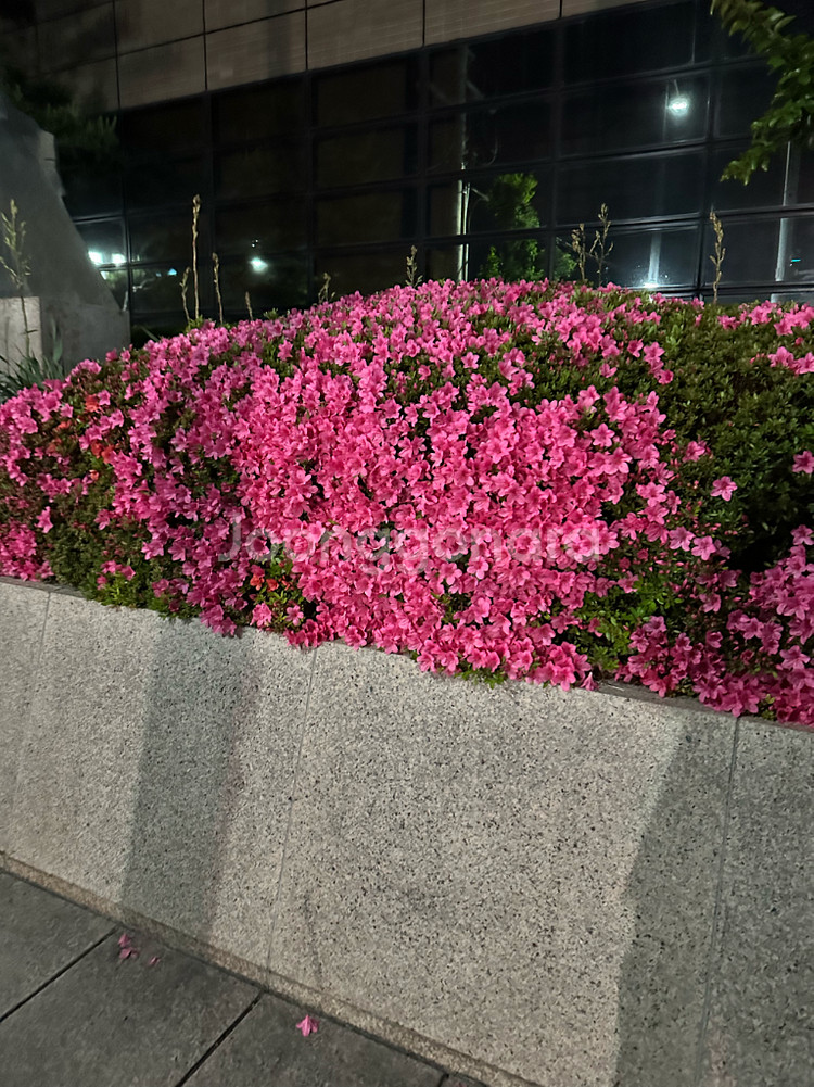 마이리얼트립 예약 숙박 항공 티켓 해드려요--0