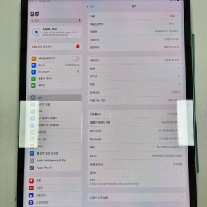 아이패드 프로6 12.9 M2 256gb 셀룰러