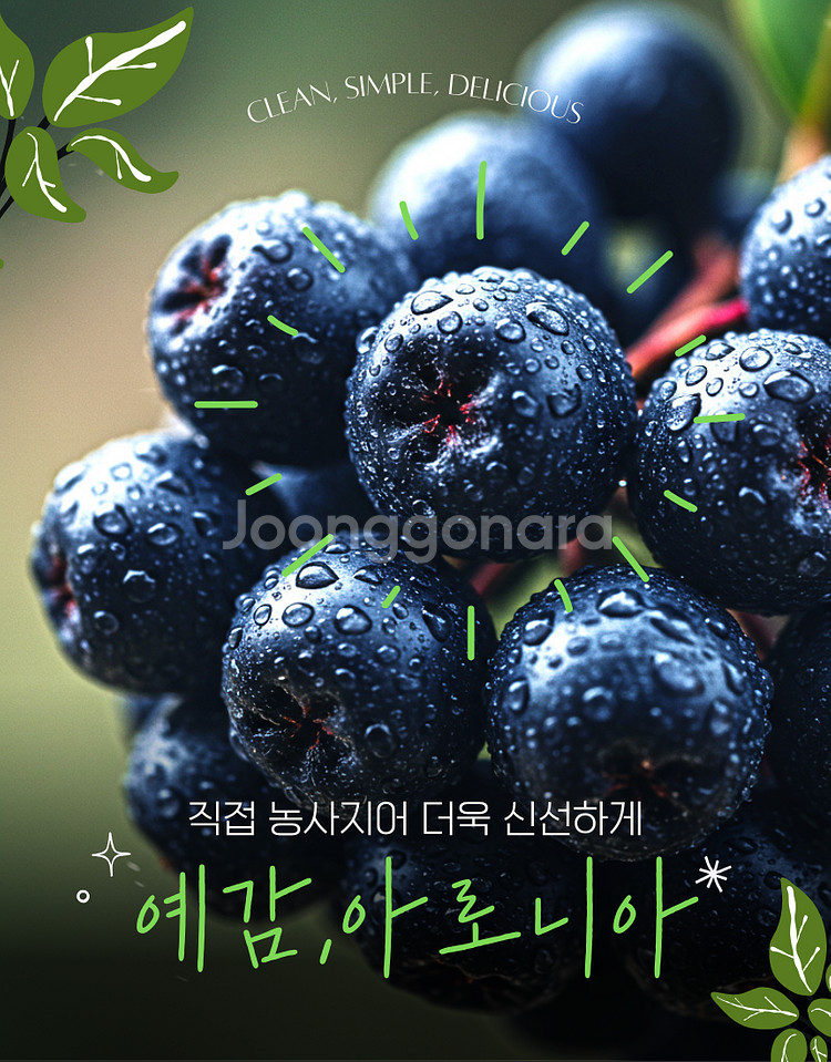 아로니아생과 1키로단위/대용량10kg~50kg판매--0