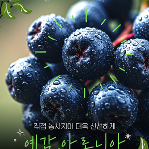 아로니아생과 1키로단위/대용량10kg~50kg판매