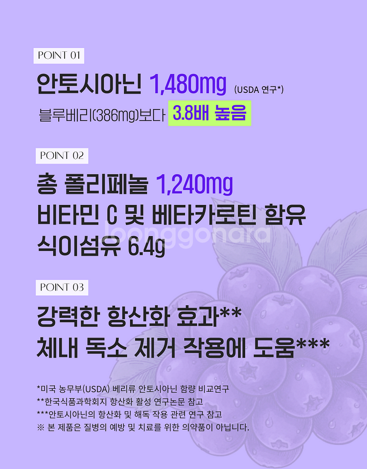 아로니아생과 1키로단위/대용량10kg~50kg판매--3