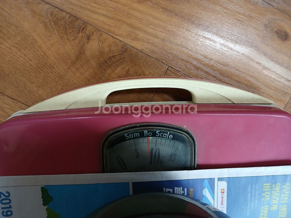 고무나무 인도고무나무 공기정화식물 미세먼지제거식물--4