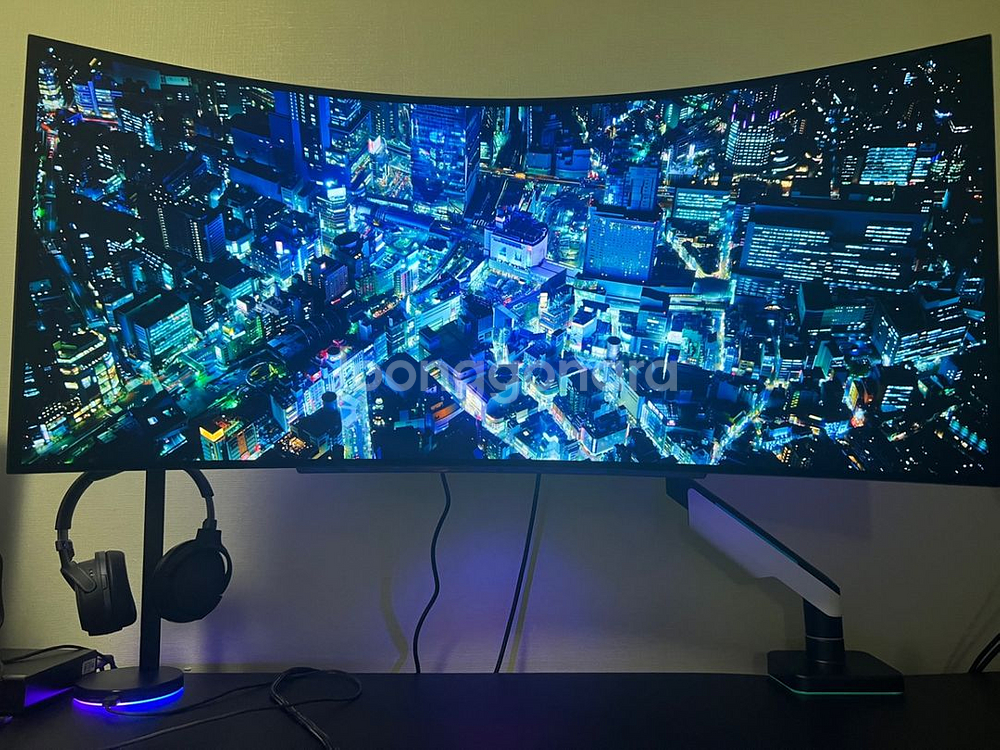 LG 45인치 OLED WQHD 240Hz 게이밍모니터--9
