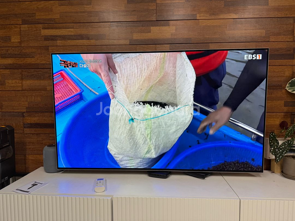LG OLED 55인치 tv판매--3