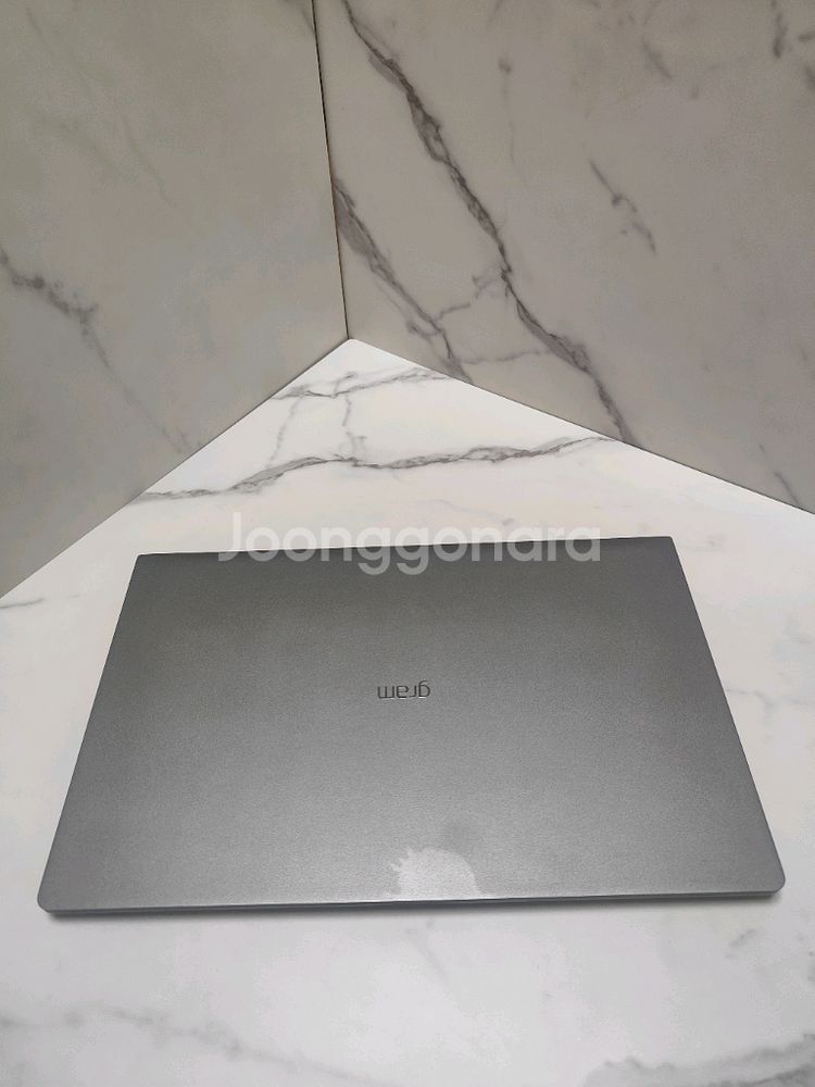 LG올뉴그램 i5 16gb 256gb--1