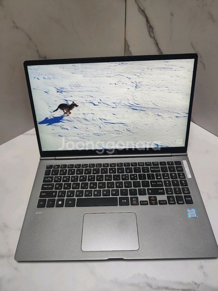 LG올뉴그램 i5 16gb 256gb--3