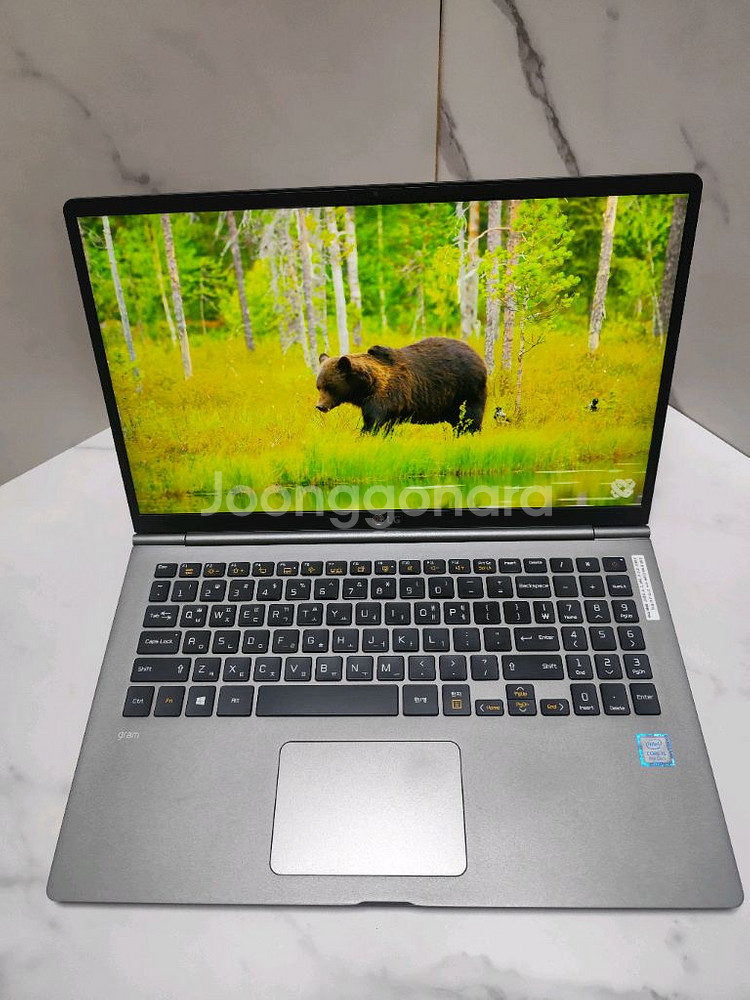 LG올뉴그램 i5 16gb 256gb--2