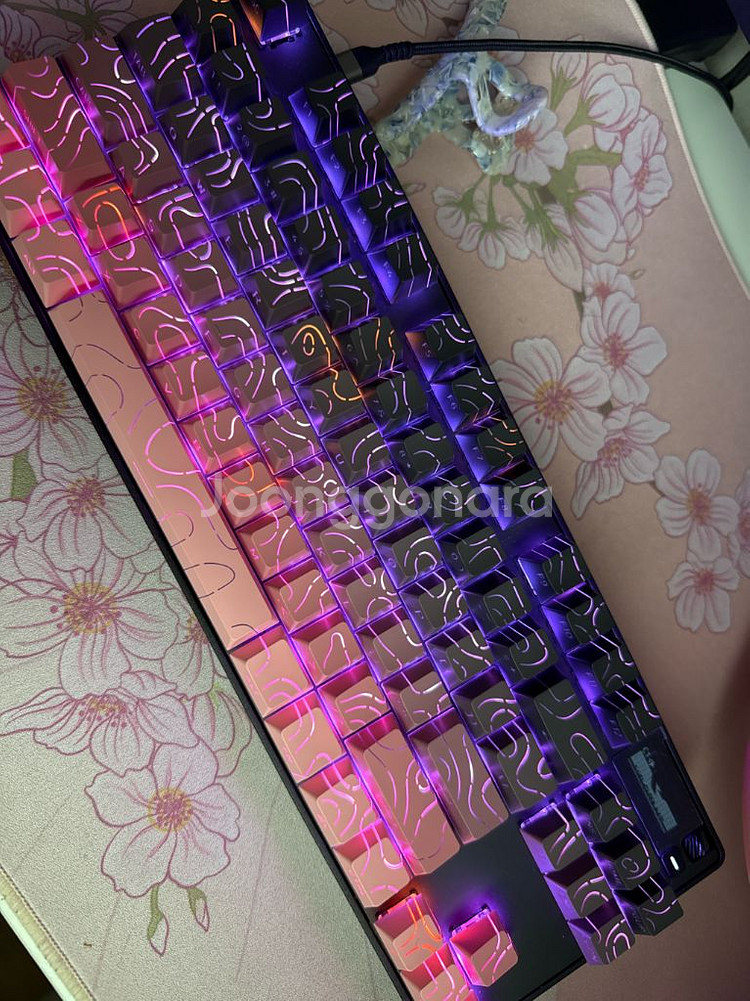 apex pro tkl 2023--1