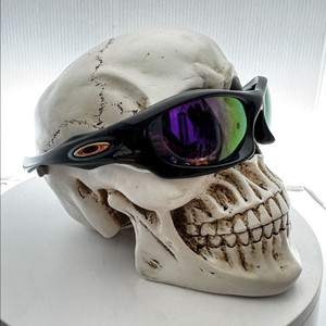 Oakley 오클리 몬스터독 (2003)