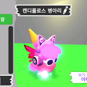 입양하세요 펫 메가네온 캔디플로스 병아리 판매합니다