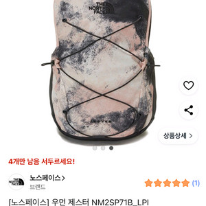 노스페이스 백팩