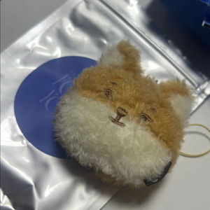 데이식스 데니멀즈 굿즈 페이스 키링 이미지