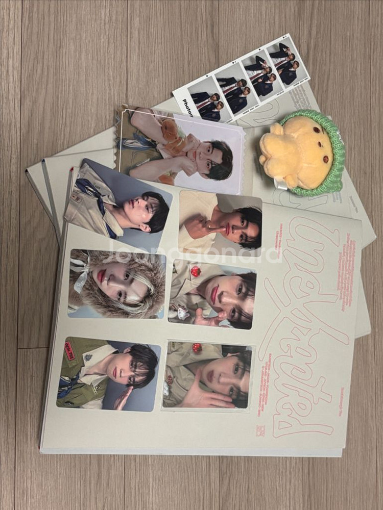 더보이즈 굿즈 일괄 처분! 현재 인형+앨범+슬로건 등등--0