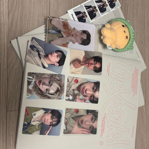 더보이즈 굿즈 일괄 처분! 현재 인형+앨범+슬로건 등등