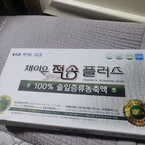 채이은적송