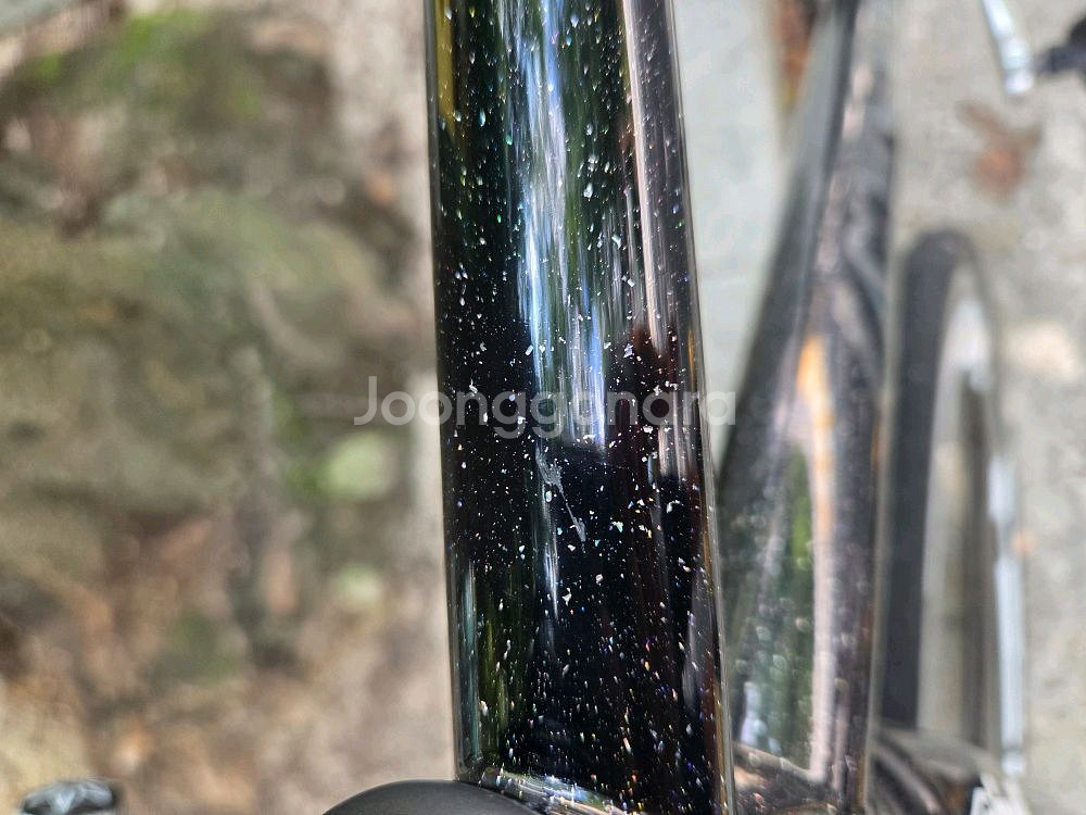 2019 치넬리 비고랠리--1