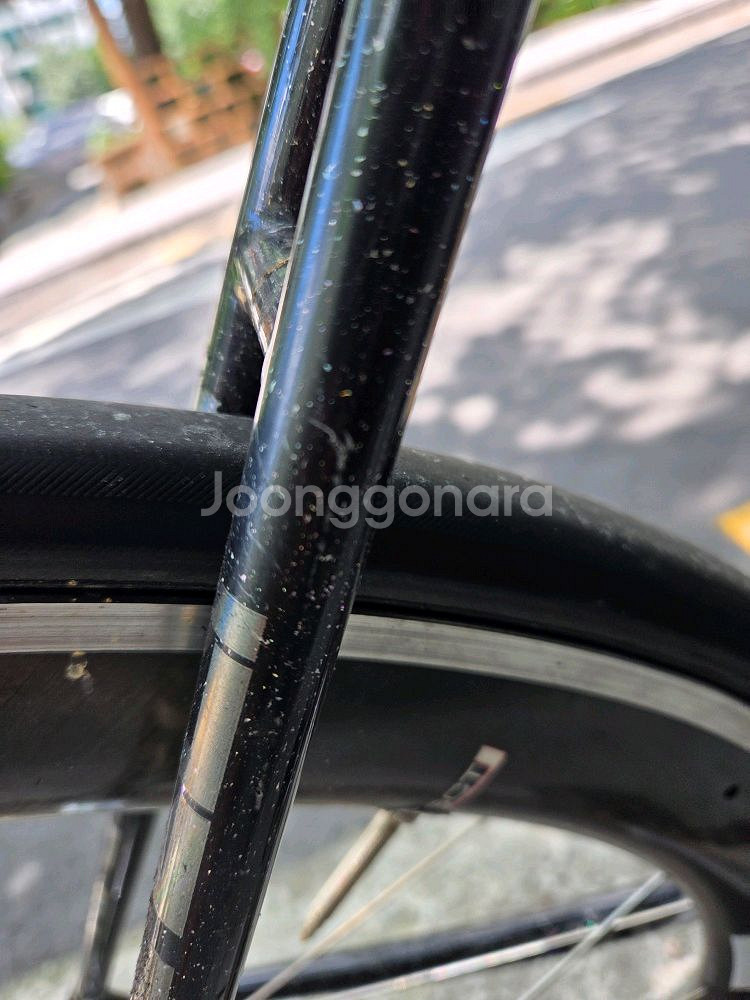 2019 치넬리 비고랠리--2