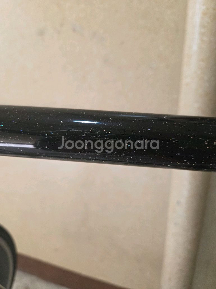 2019 치넬리 비고랠리--3