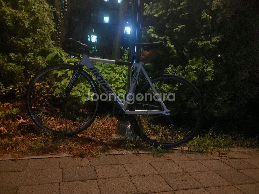 언노운 픽시(판/대)--0