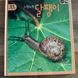 블루래빗 자연관찰