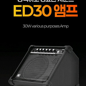 ED30 앰프