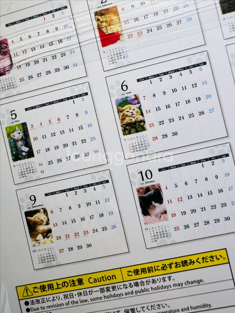 2026년 고양이 탁상달력--1