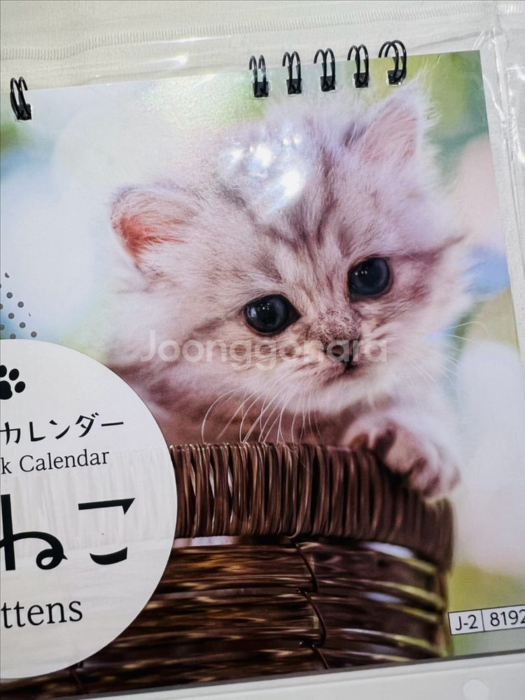 2026년 고양이 탁상달력--2