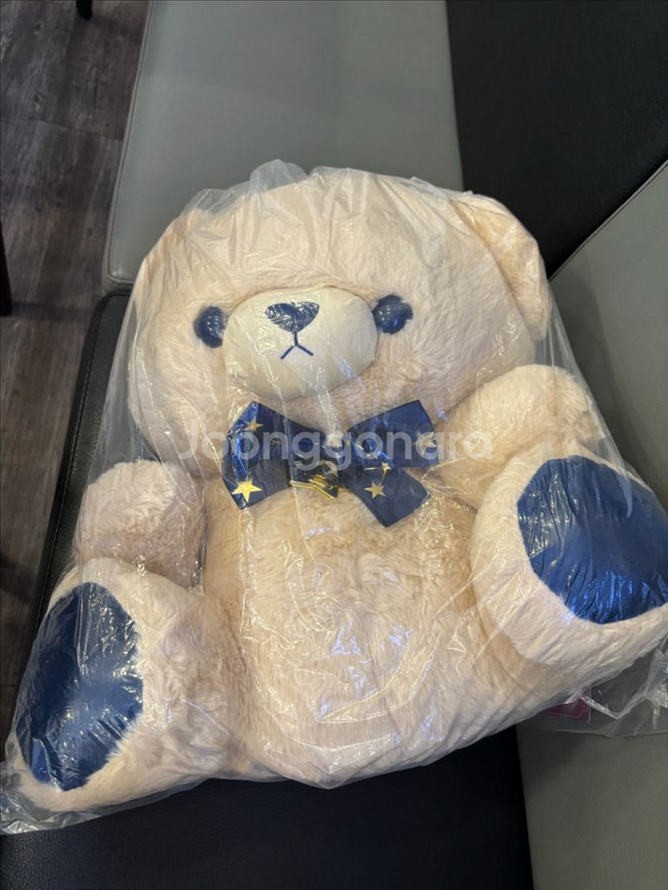 일본 별자리곰인형 특대형 50cm--0
