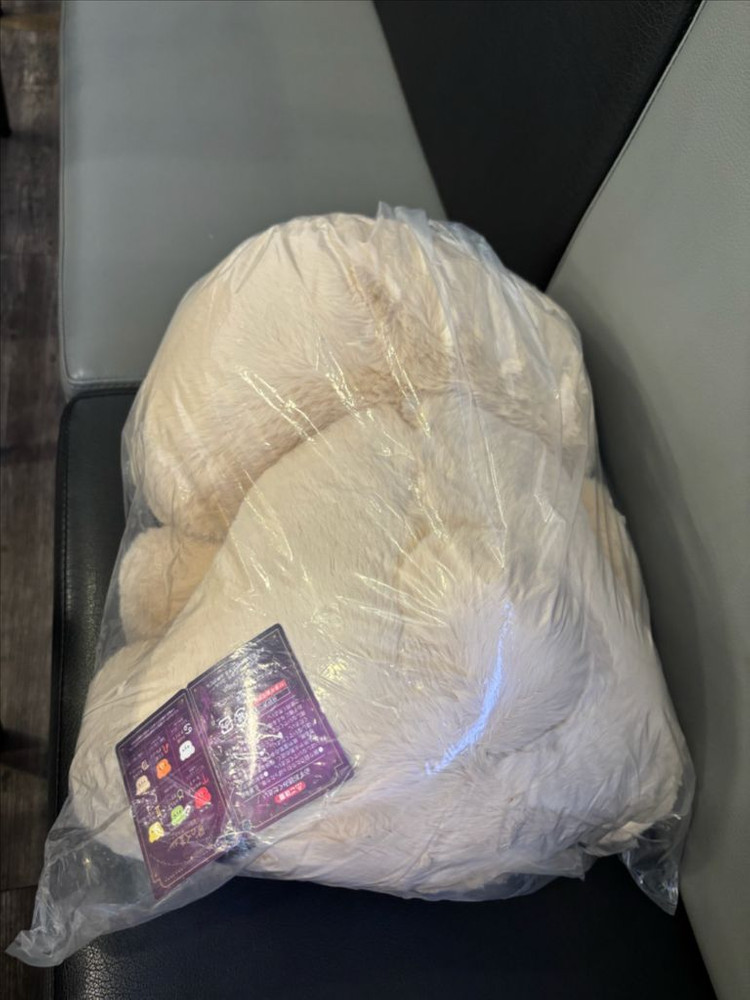 일본 별자리곰인형 특대형 50cm--1