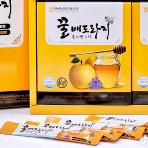 꿀배도라지 팔아요